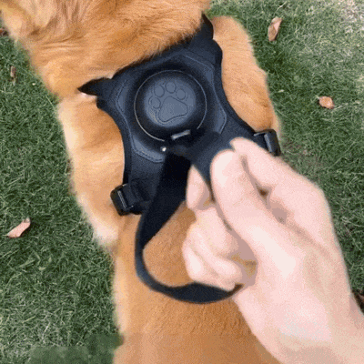 FlexSel™ - Hundsele med Inbyggt Flexikoppel