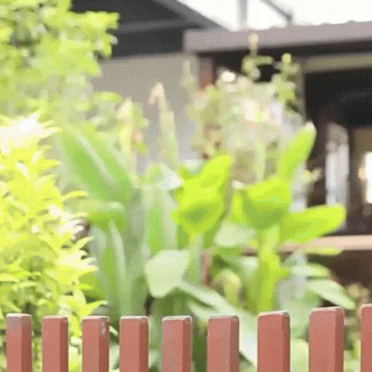 SolarClip™ – Smart solcells-lampa med rörelsesensor