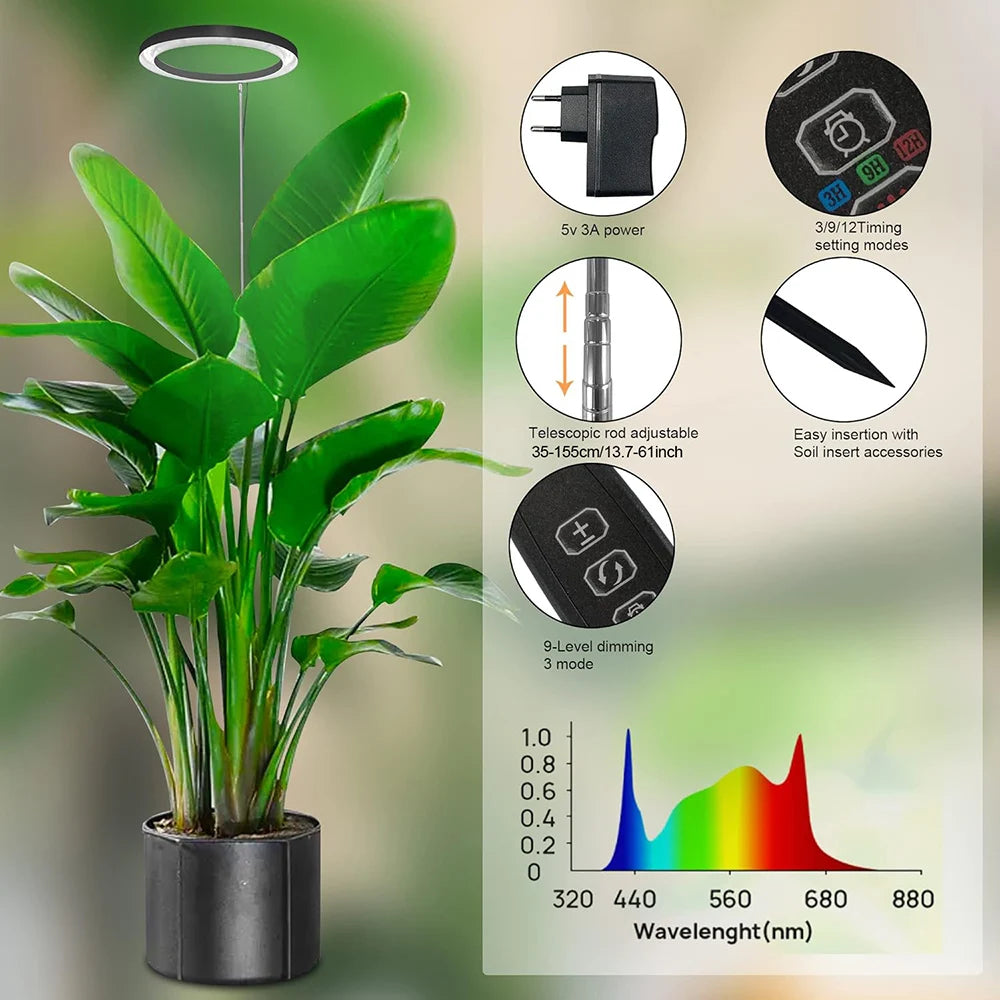 Växtlampa för stora krukväxter