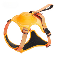 FlexSel™ - Hundsele med Inbyggt Flexikoppel