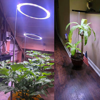 Växtlampa för stora krukväxter