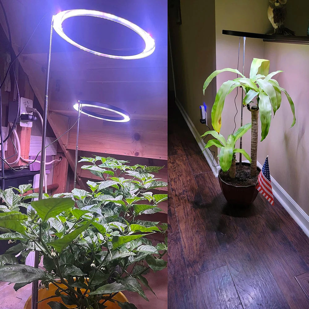 Växtlampa för stora krukväxter