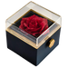 Lyxig presentbox