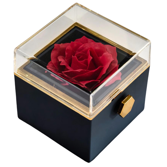 Lyxig presentbox